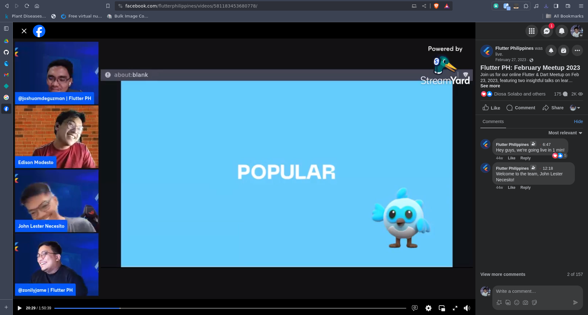 Flutter in the Freelance World